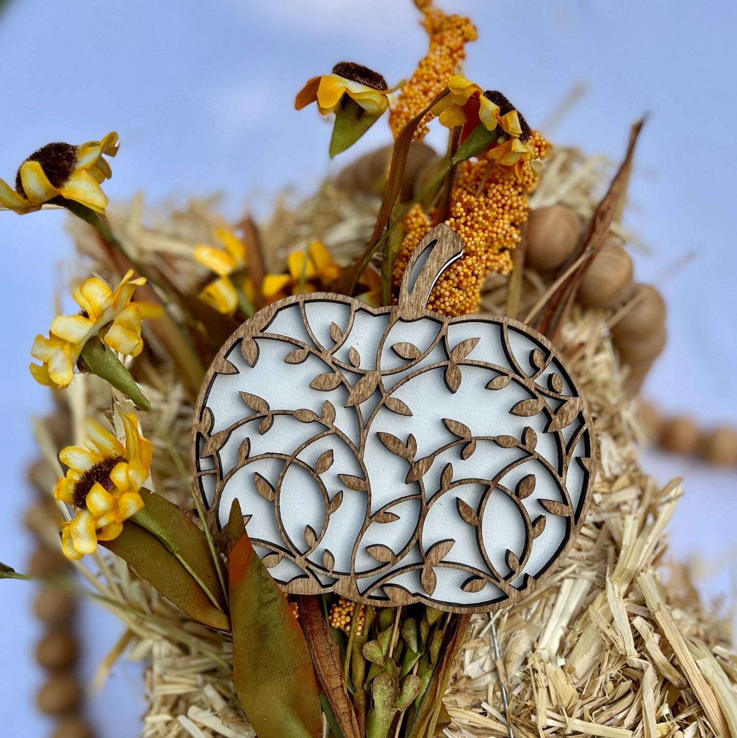 Small Vine Pumpkin