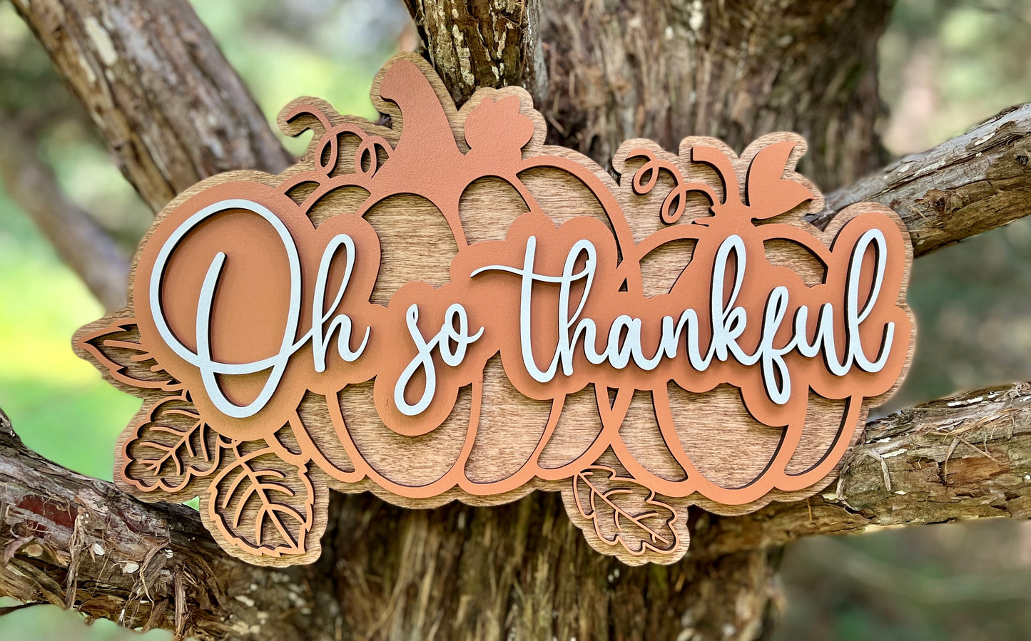 Oh so Thankful Sign