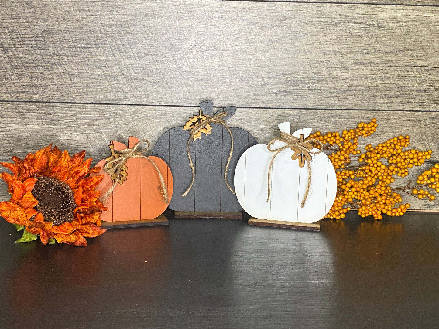 Pumpkins - Shiplap Medium